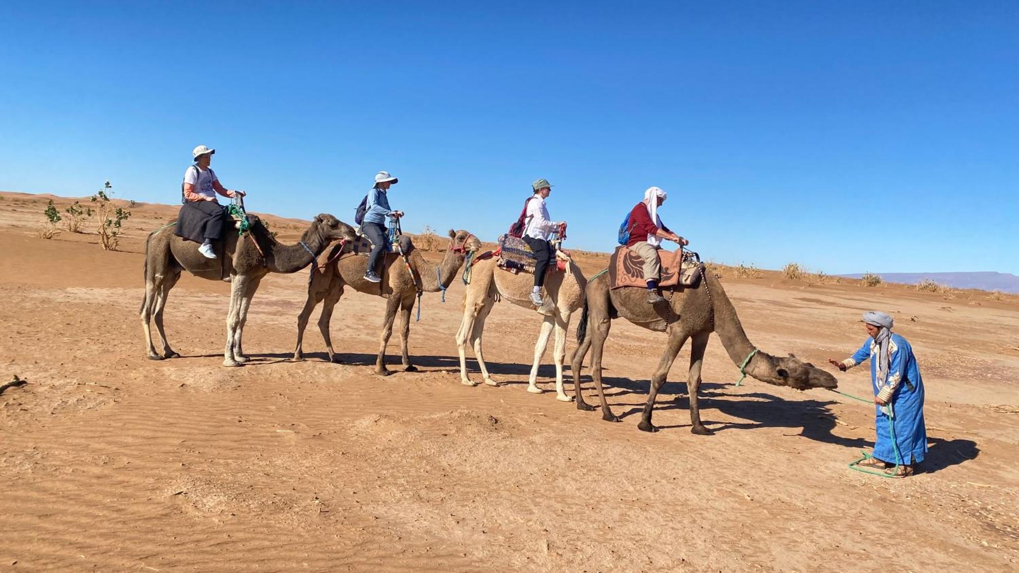 Atta Desert Camp El Gouera Экстерьер фото