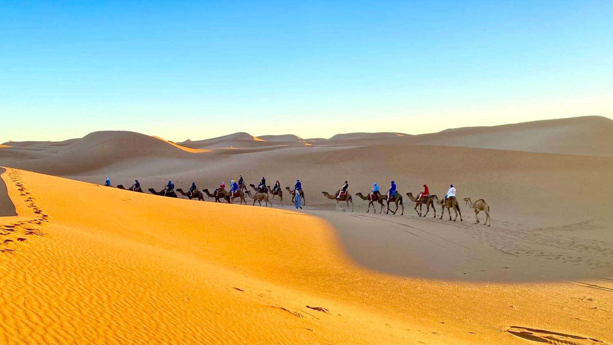 Atta Desert Camp El Gouera Экстерьер фото