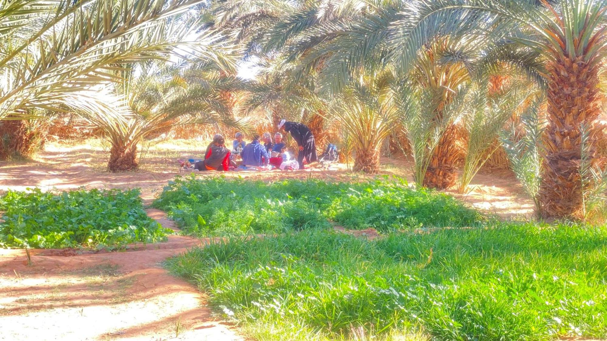 Atta Desert Camp El Gouera Экстерьер фото