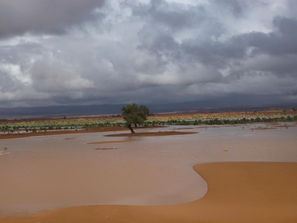 Atta Desert Camp El Gouera Экстерьер фото